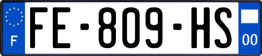 FE-809-HS