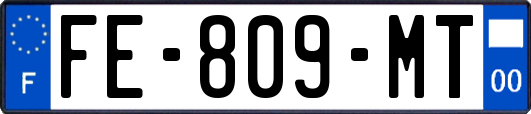 FE-809-MT