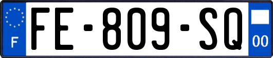 FE-809-SQ