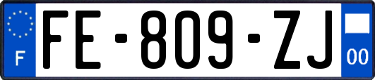 FE-809-ZJ