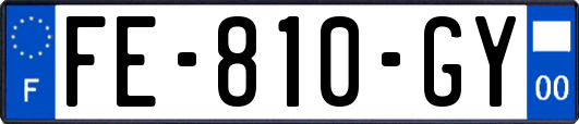 FE-810-GY