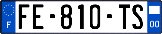 FE-810-TS
