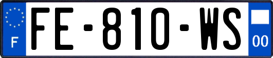 FE-810-WS