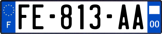 FE-813-AA