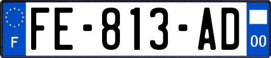 FE-813-AD