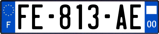 FE-813-AE