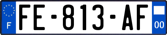 FE-813-AF