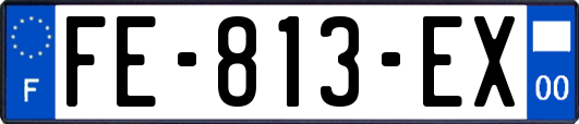 FE-813-EX