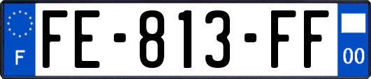 FE-813-FF