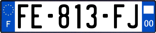 FE-813-FJ
