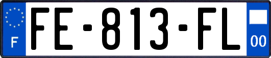 FE-813-FL