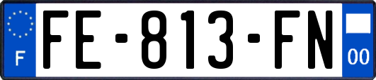FE-813-FN