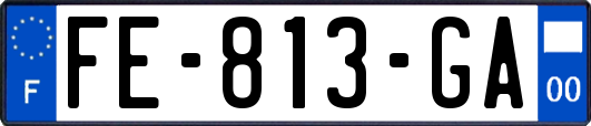 FE-813-GA
