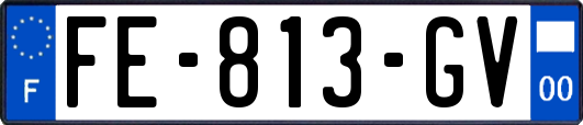 FE-813-GV