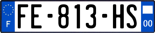 FE-813-HS