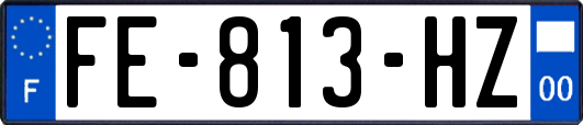 FE-813-HZ