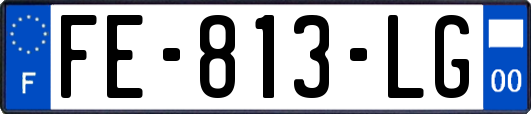 FE-813-LG