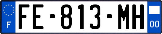 FE-813-MH