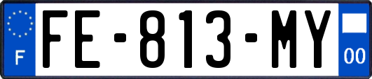FE-813-MY