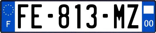 FE-813-MZ