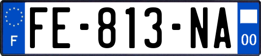 FE-813-NA