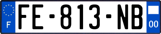 FE-813-NB