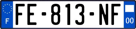 FE-813-NF