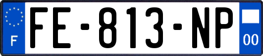 FE-813-NP