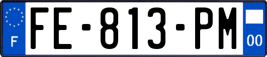FE-813-PM