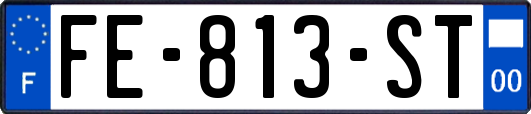 FE-813-ST