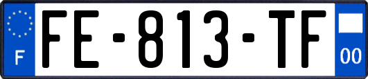FE-813-TF