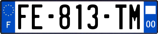 FE-813-TM