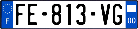 FE-813-VG