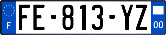 FE-813-YZ
