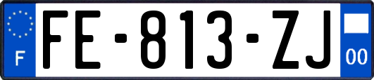 FE-813-ZJ