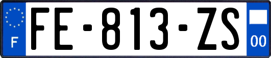 FE-813-ZS