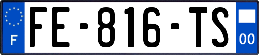 FE-816-TS