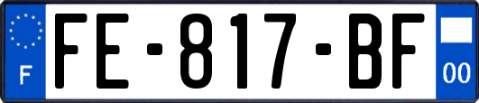 FE-817-BF
