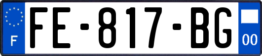 FE-817-BG