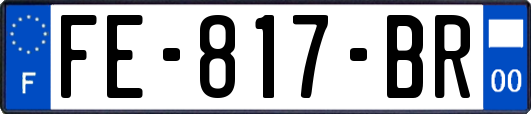 FE-817-BR