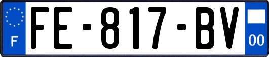 FE-817-BV