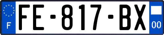 FE-817-BX