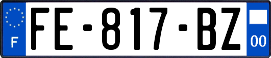 FE-817-BZ