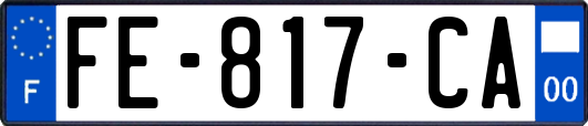 FE-817-CA