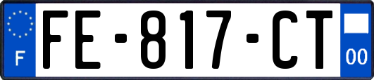 FE-817-CT