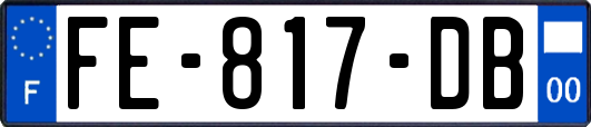 FE-817-DB