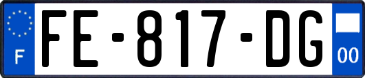 FE-817-DG