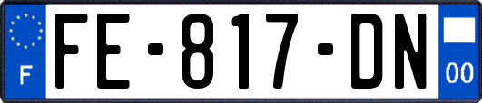 FE-817-DN