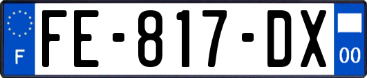 FE-817-DX