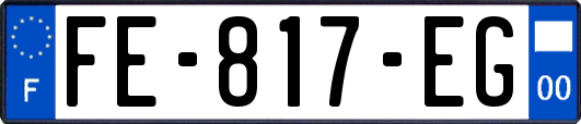 FE-817-EG